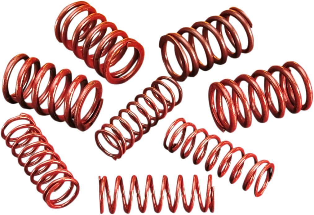 ANDREWS High-Lift Valve Spring Kit