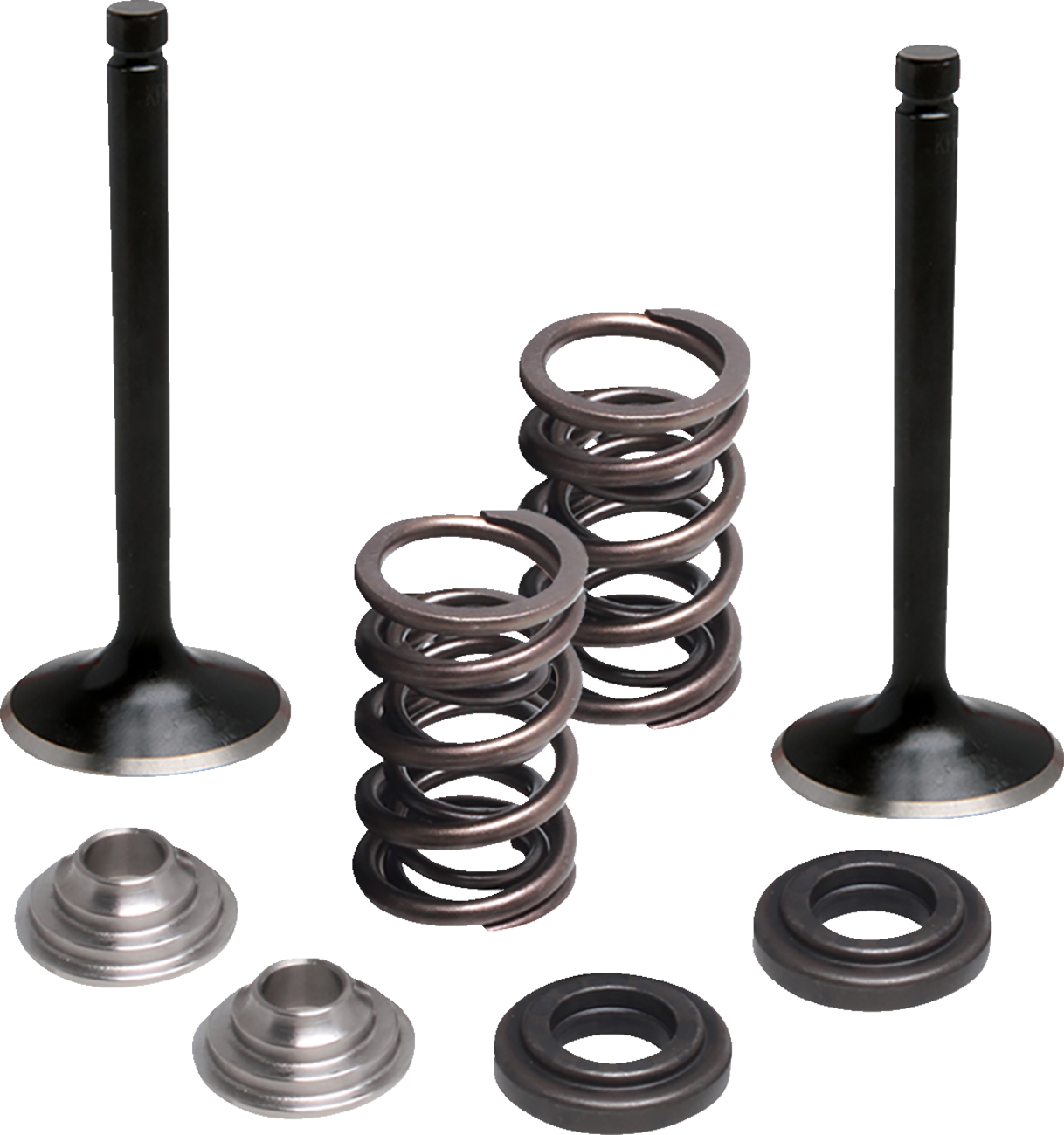 Moose Racing Valve and Spring Kit