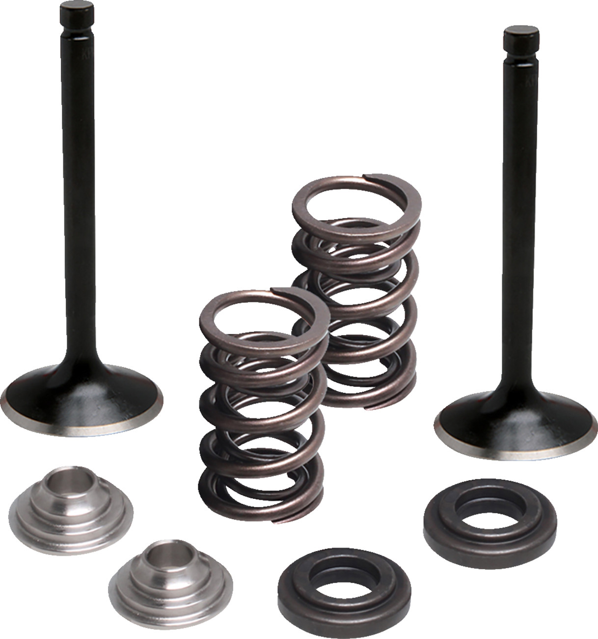 Moose Racing Valve and Spring Kit