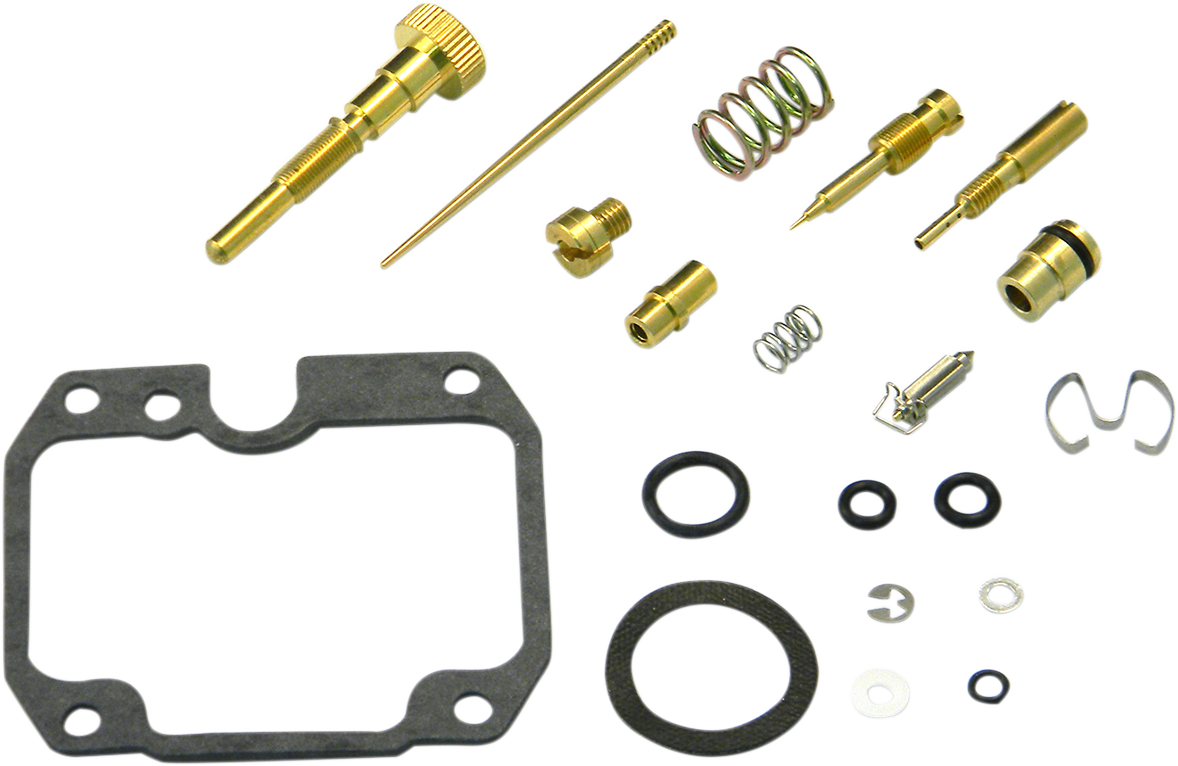 Carburetor Repair Kit