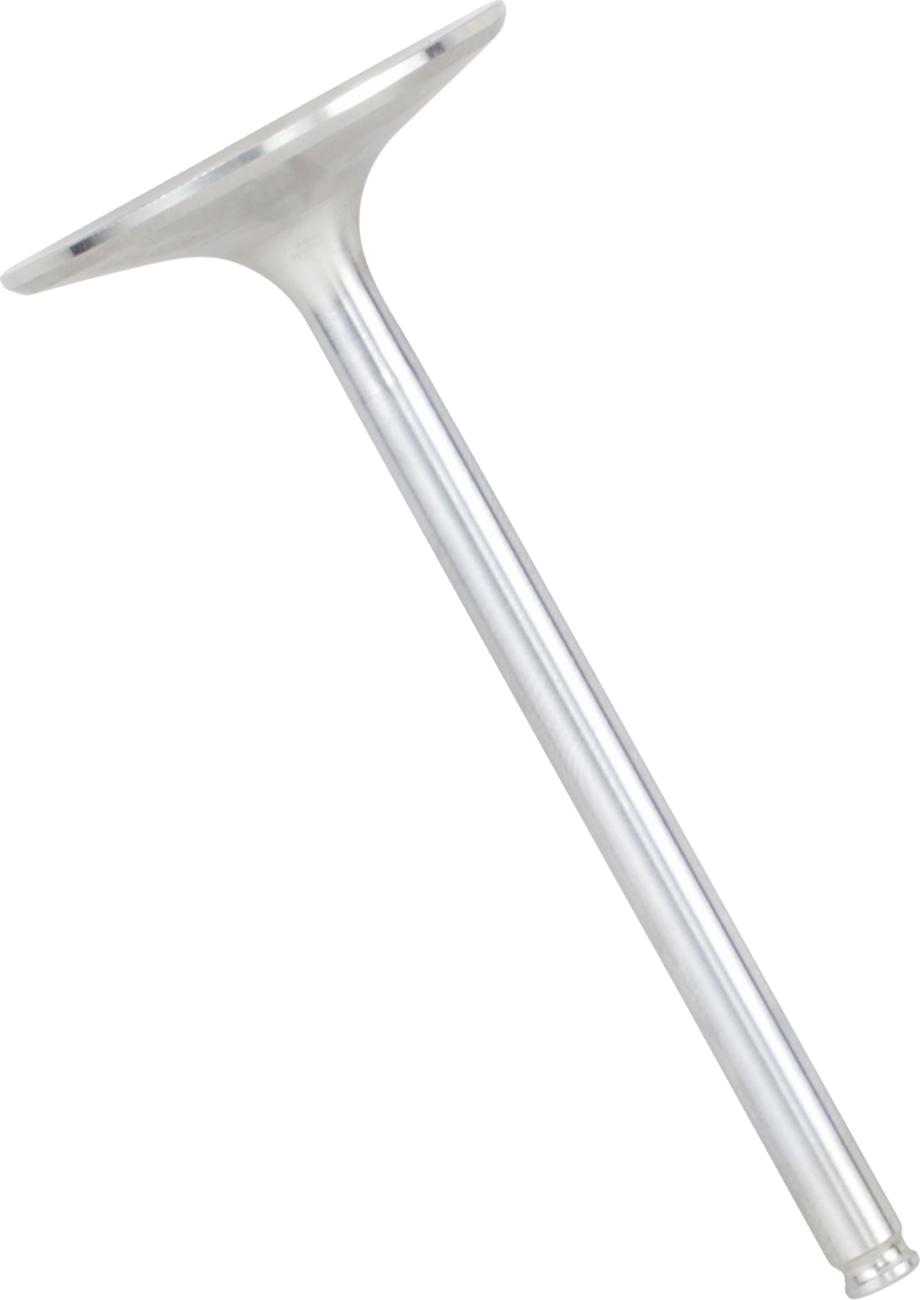 XCELDYNE Intake Valve