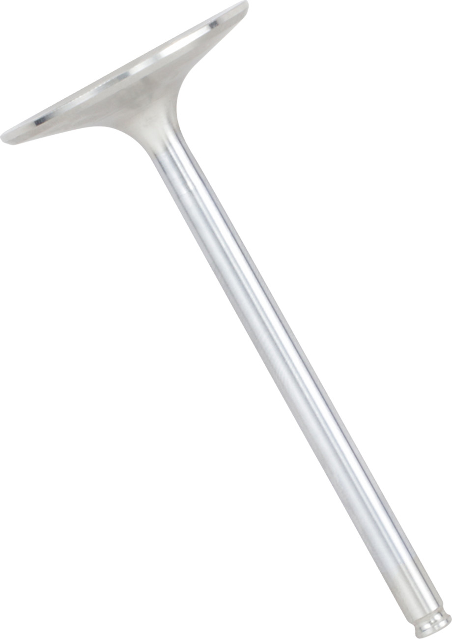 XCELDYNE Intake Valve