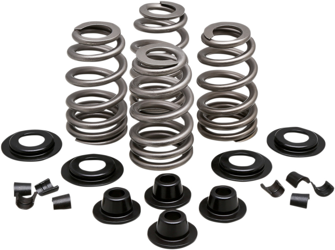 Valve Spring Kit