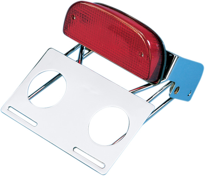 Drag Specialties Custom Taillight and Chrome Bracket Assembly