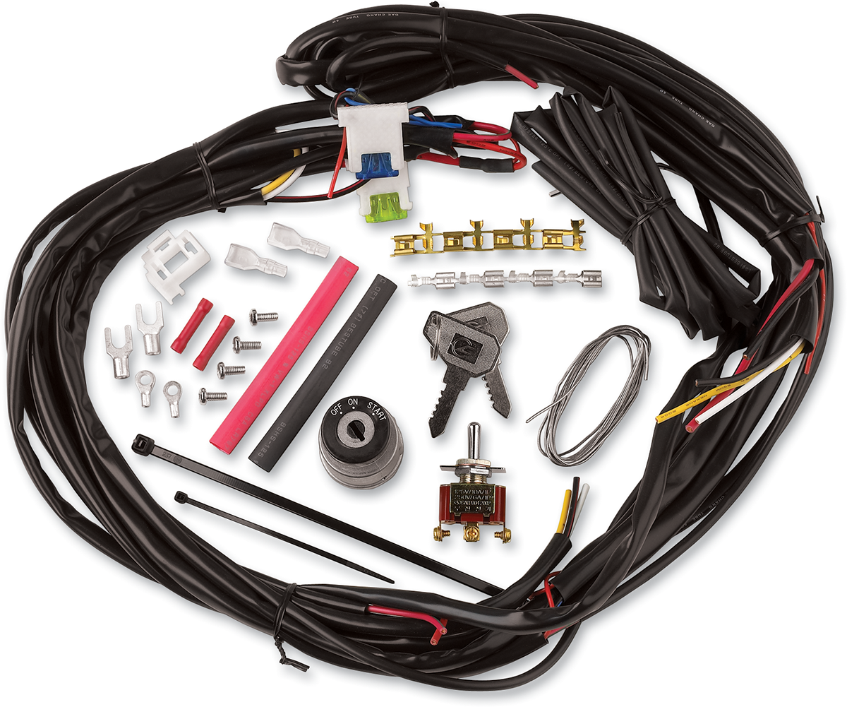Cycle visions Custom Wire Harness