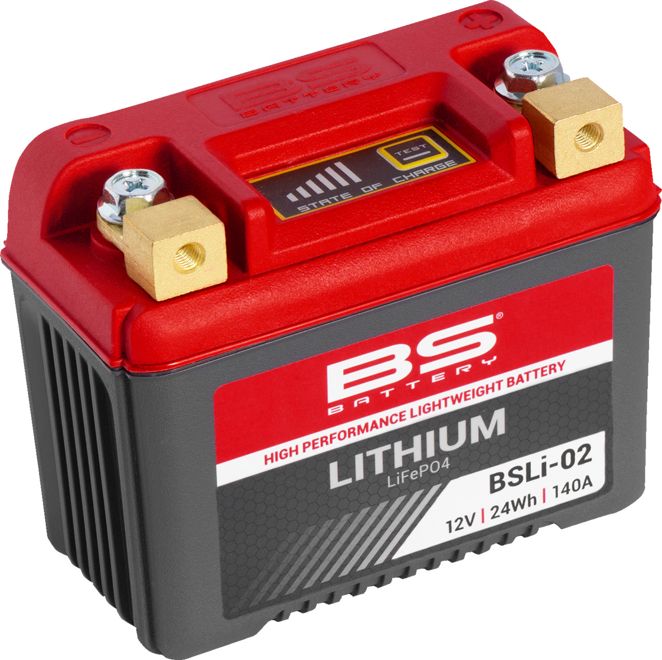 BS BATTERY Lithium LiFePO4 Battery
