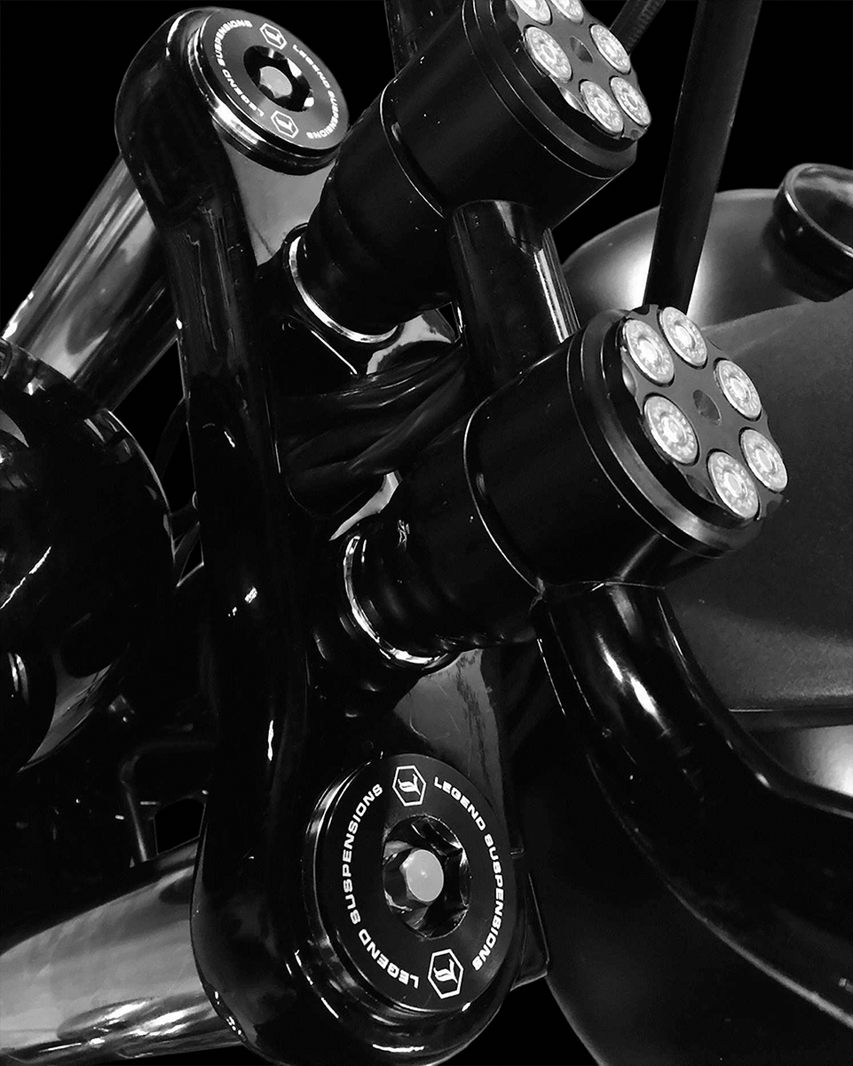 Legend suspension Standard AXEO Front Suspension System - 49 mm - '06-'17 FXD/FXDL/FXDB/FXDC Harley Davidson