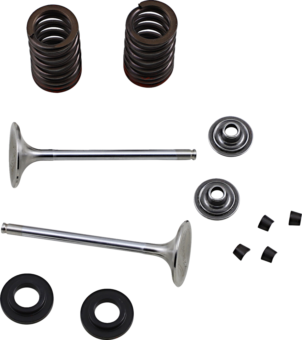 XCELDYNE Valve Kit