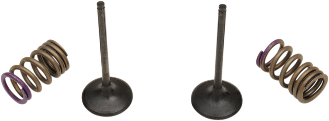 Prox Valve and Spring Kit - Intake - Kawasaki