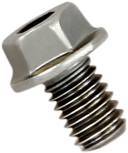Akrapovic Replacement Bolt