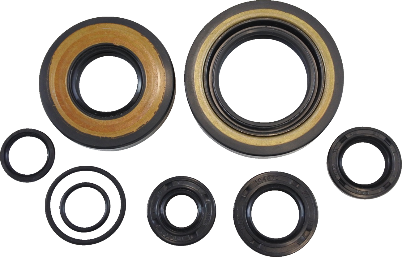 VINTCO Oil Seal Kit
