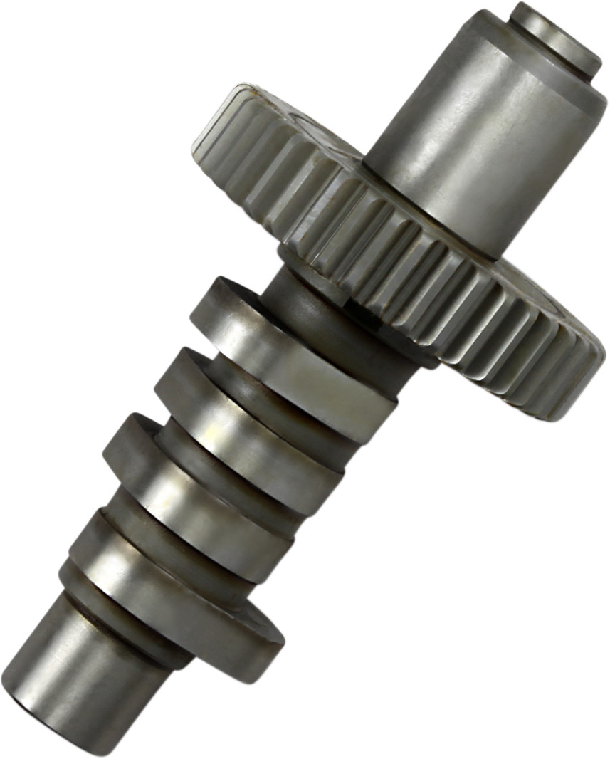 ANDREWS Cam for Big Twin