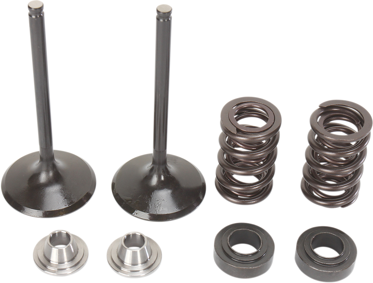 Stainless Intake Valve and Spring Kit