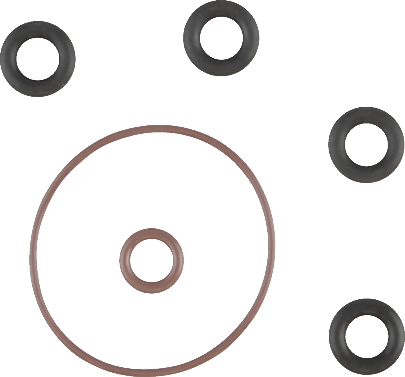 Induction Module O-Ring