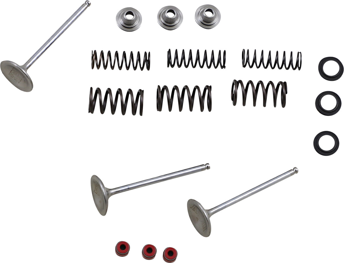 Stainless Intake Valve and Spring Kit