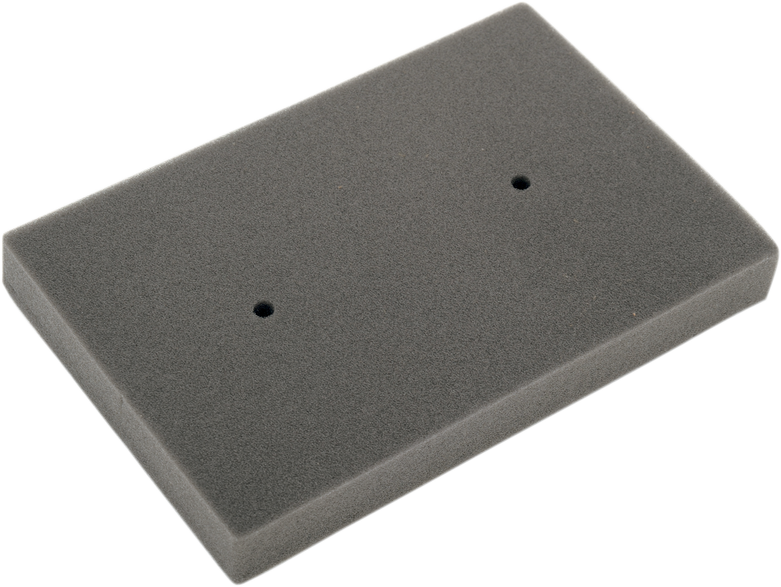 HiFloFiltro Air Filter HFA2505