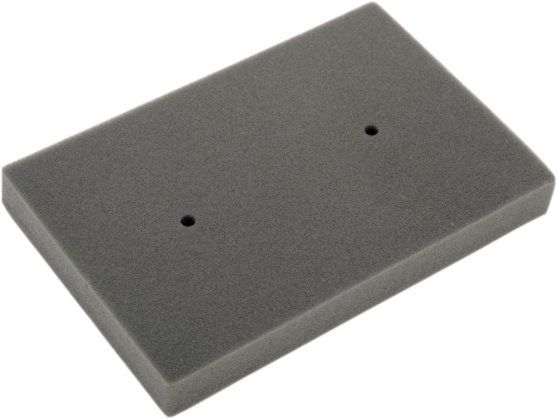 HIFLOFILTRO Air Filter