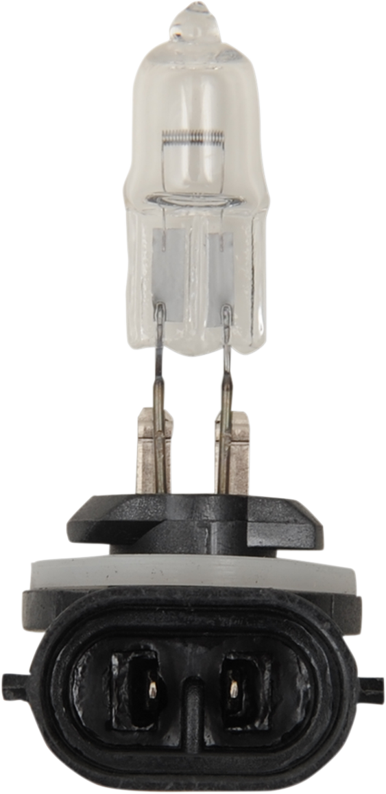 Halogen Bulb
