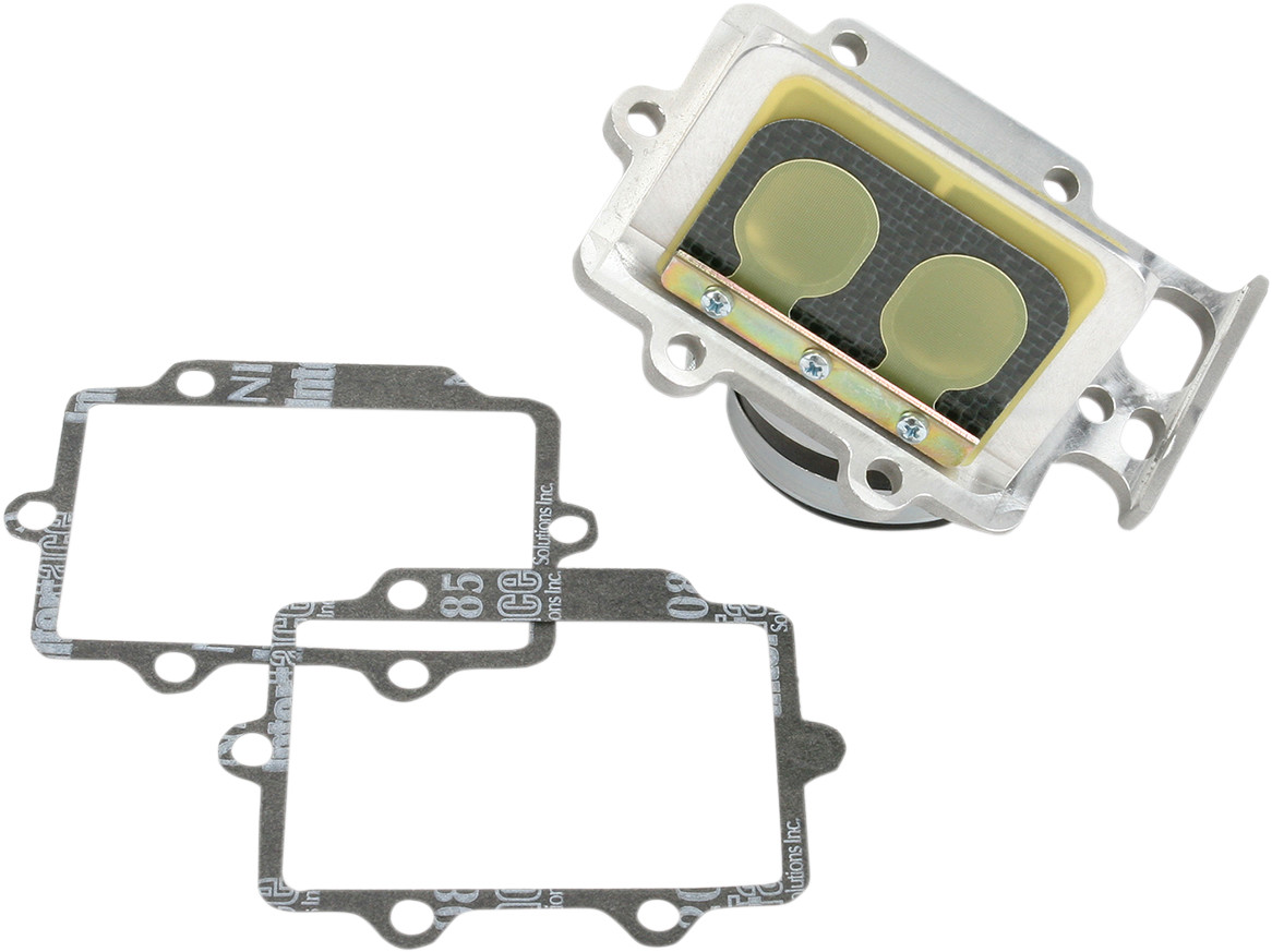 BOYESEN Rad Valve Reed Cage Assembly