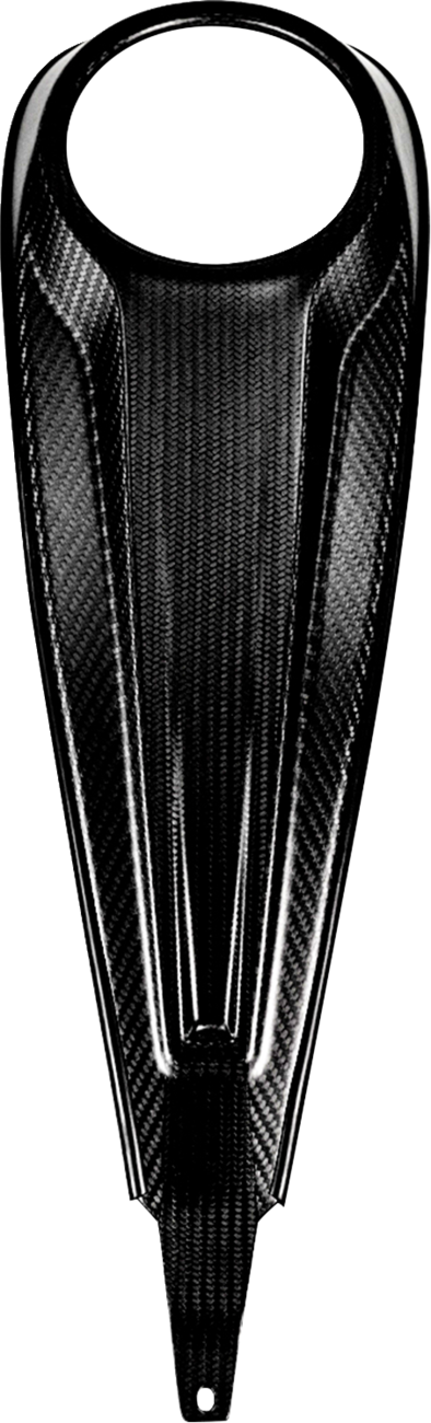 SADDLEMEN Carbon Fiber Dash Panel For Touring Models