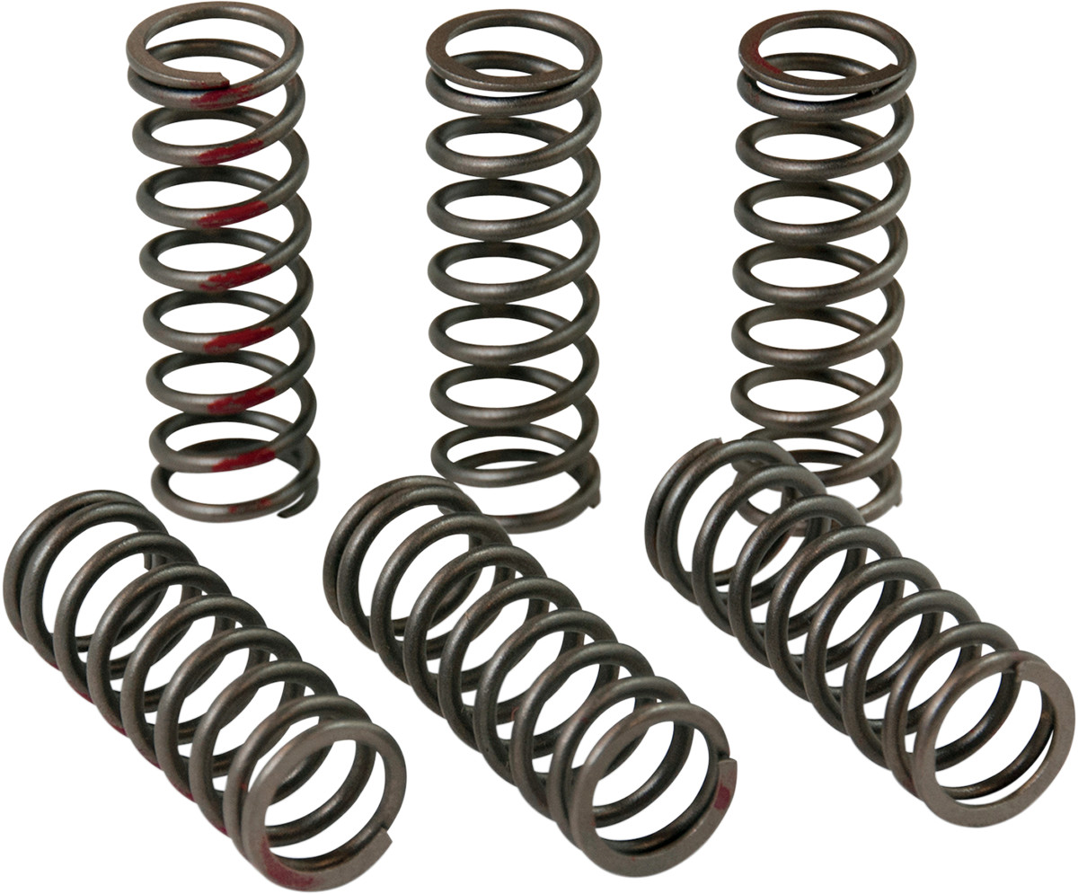 PRO CIRCUIT Clutch Spring Set