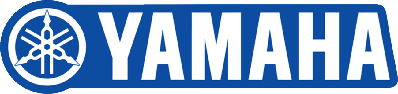 D'COR VISUALS OEM Decal