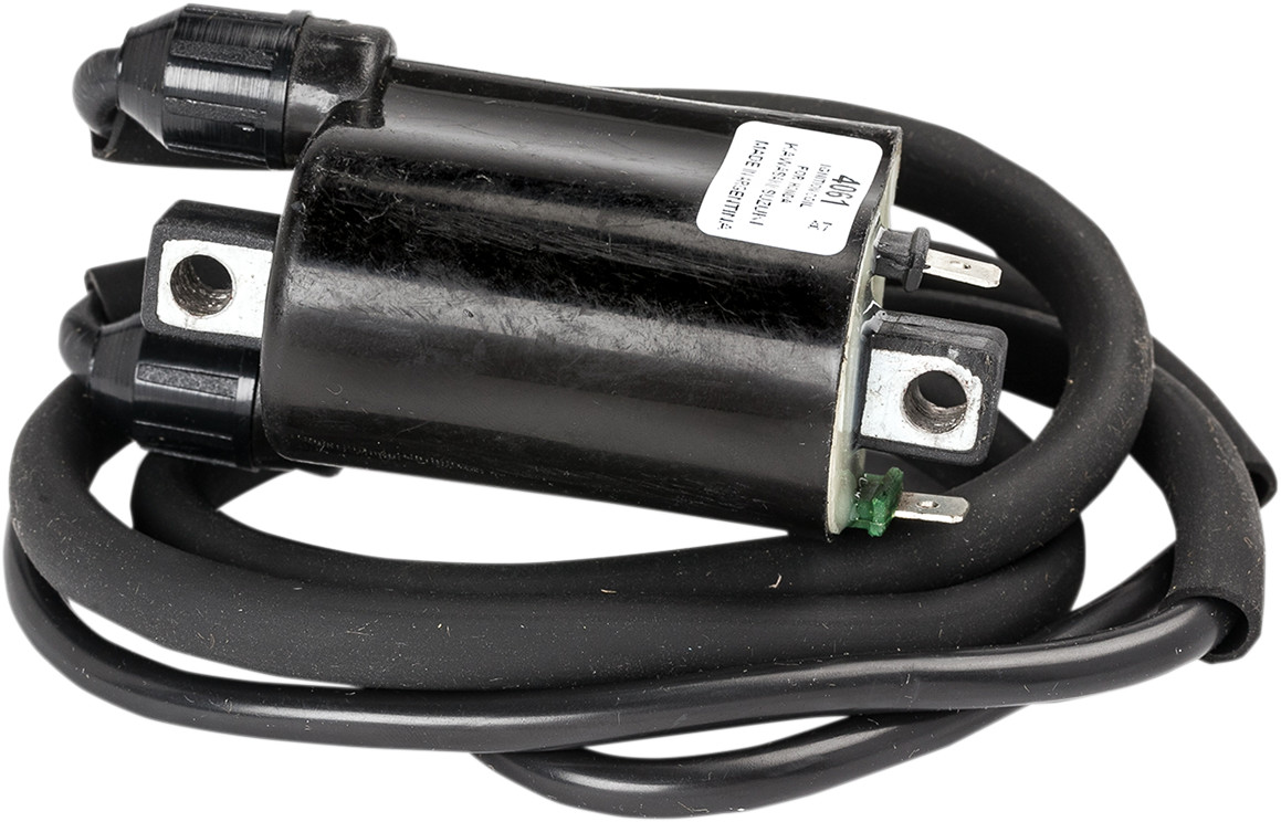 RICK'S MOTORSPORT ELECTRIC Ignition Coil