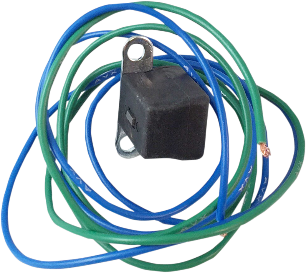 RICK'S MOTORSPORT ELECTRIC Coil