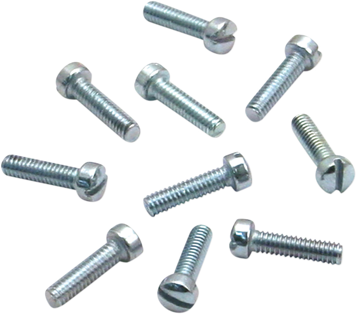 Slotted Screws