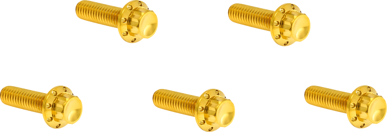 ARLEN NESS Derby Cover 12-Point Titanium Bolt Kit