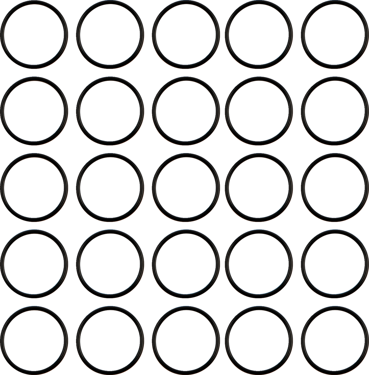 Tappet Guide Block O-Ring
