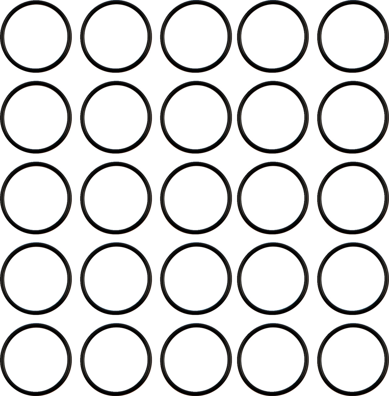 Tappet Guide Block O-Ring