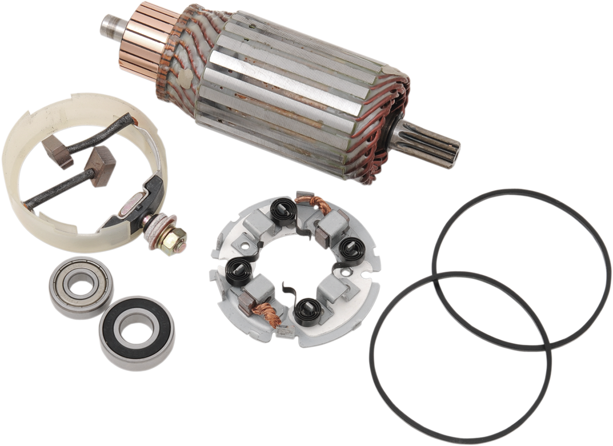 Starter Motor Rebuild Kit