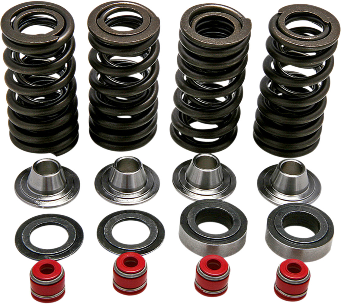 KIBBLEWHITE Valve Spring Kit