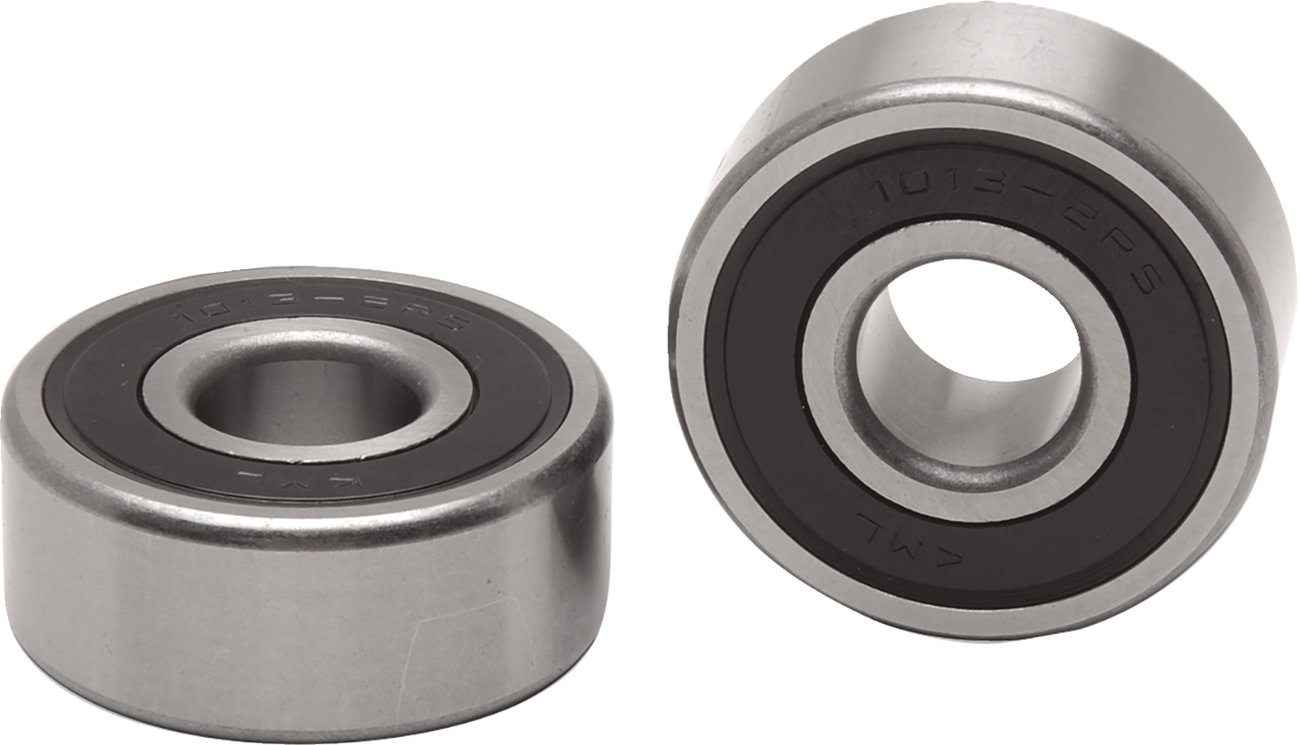 Drag Specialties Wheel Bearing Kit