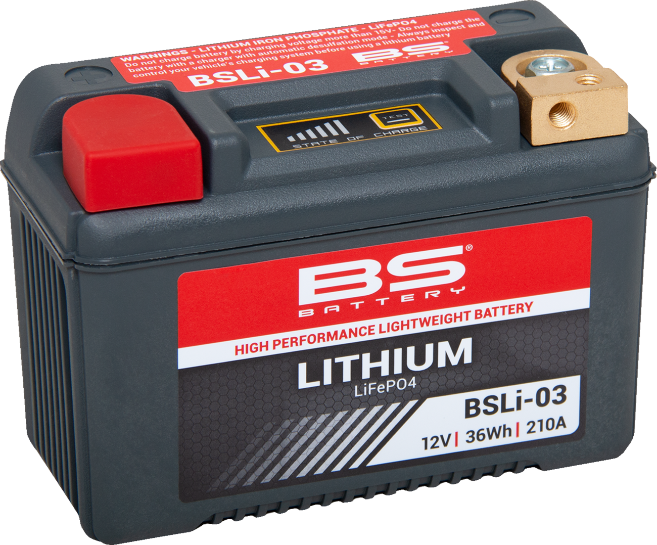 BS BATTERY Lithium LiFePO4 Battery
