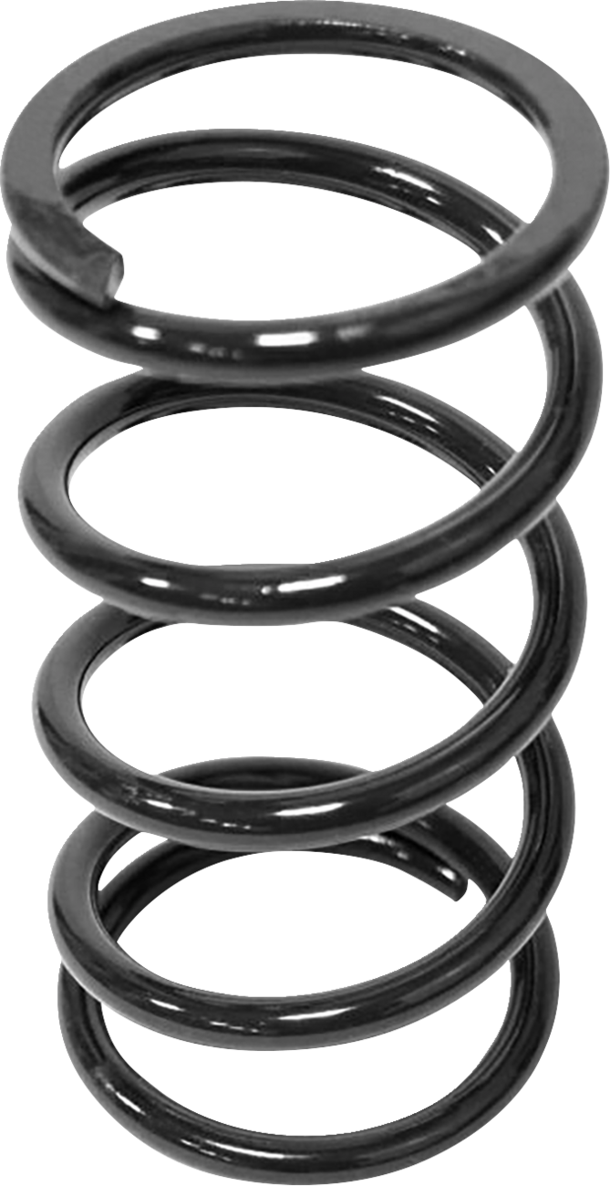 Secondary Clutch Spring