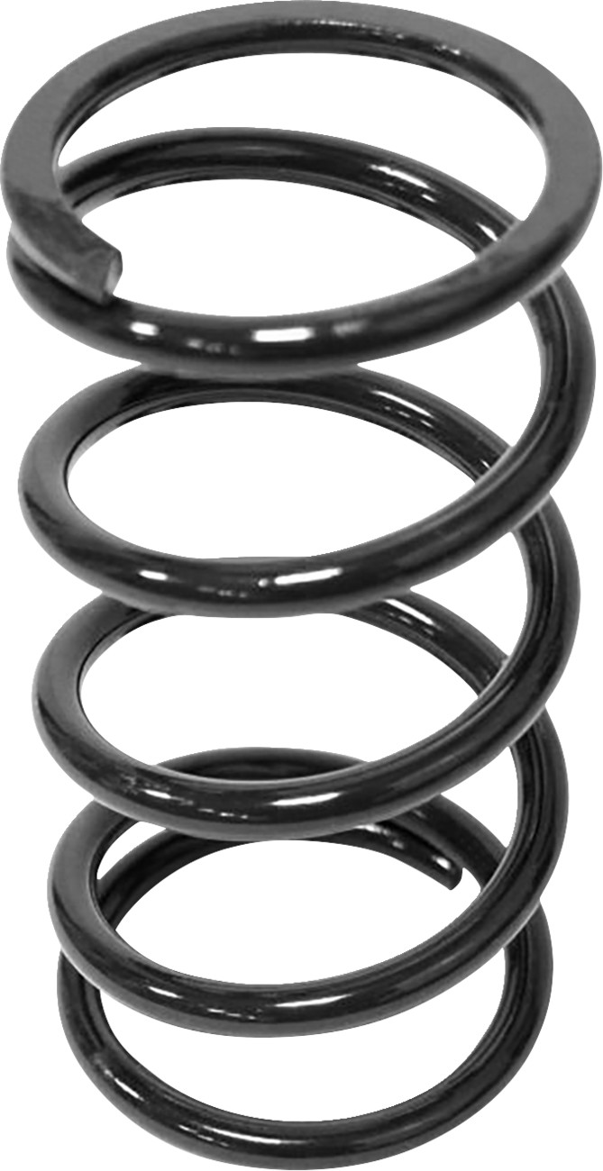 Secondary Clutch Spring