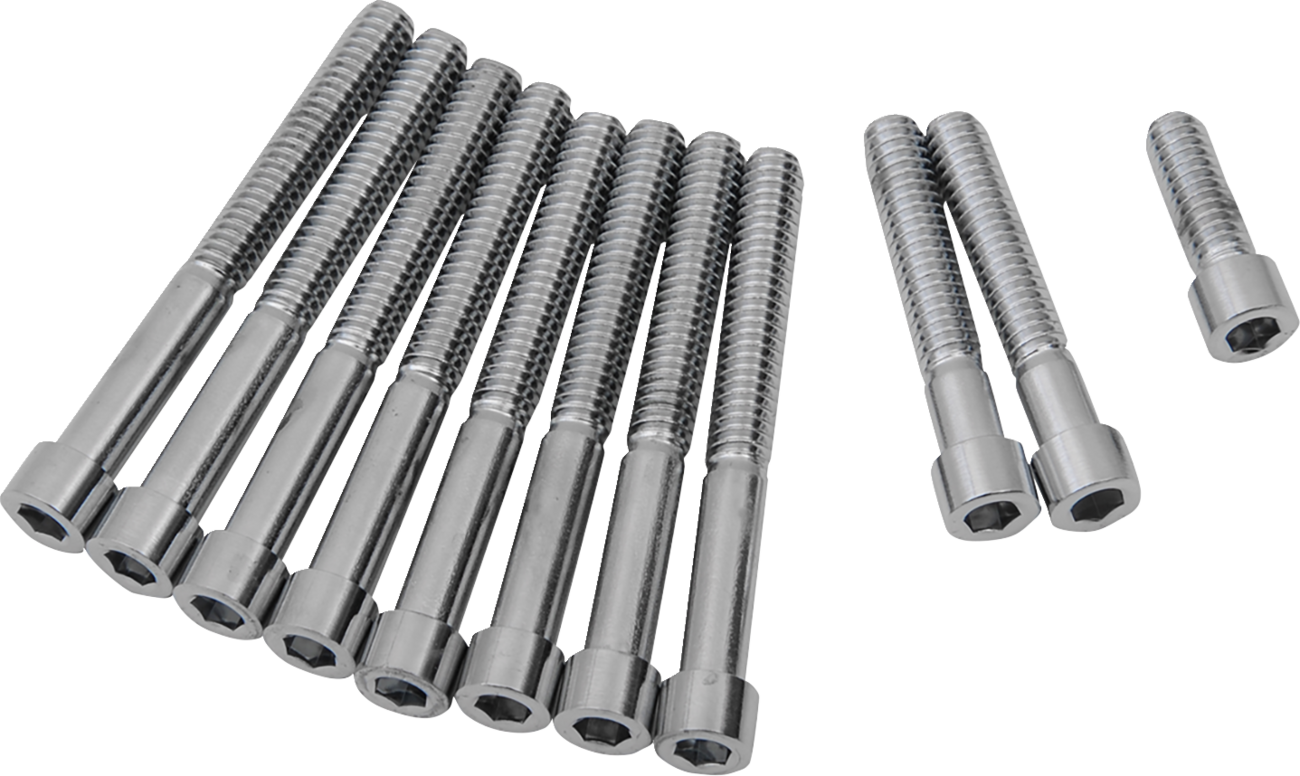 Drag Specialties Primary Cover Only Bolt Kit