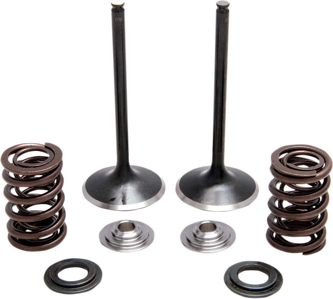KIBBLEWHITE Intake Stainless Conversion Valve and Spring Kit