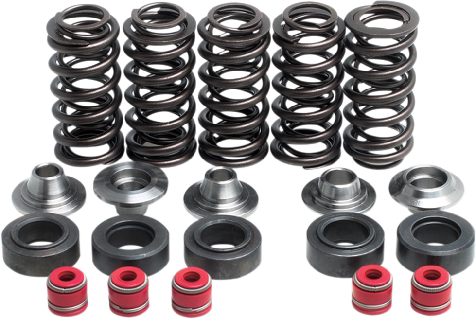 KIBBLEWHITE Valve Spring Kit