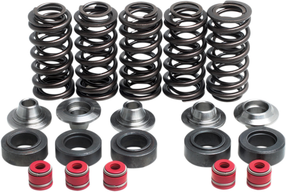 KIBBLEWHITE Valve Spring Kit