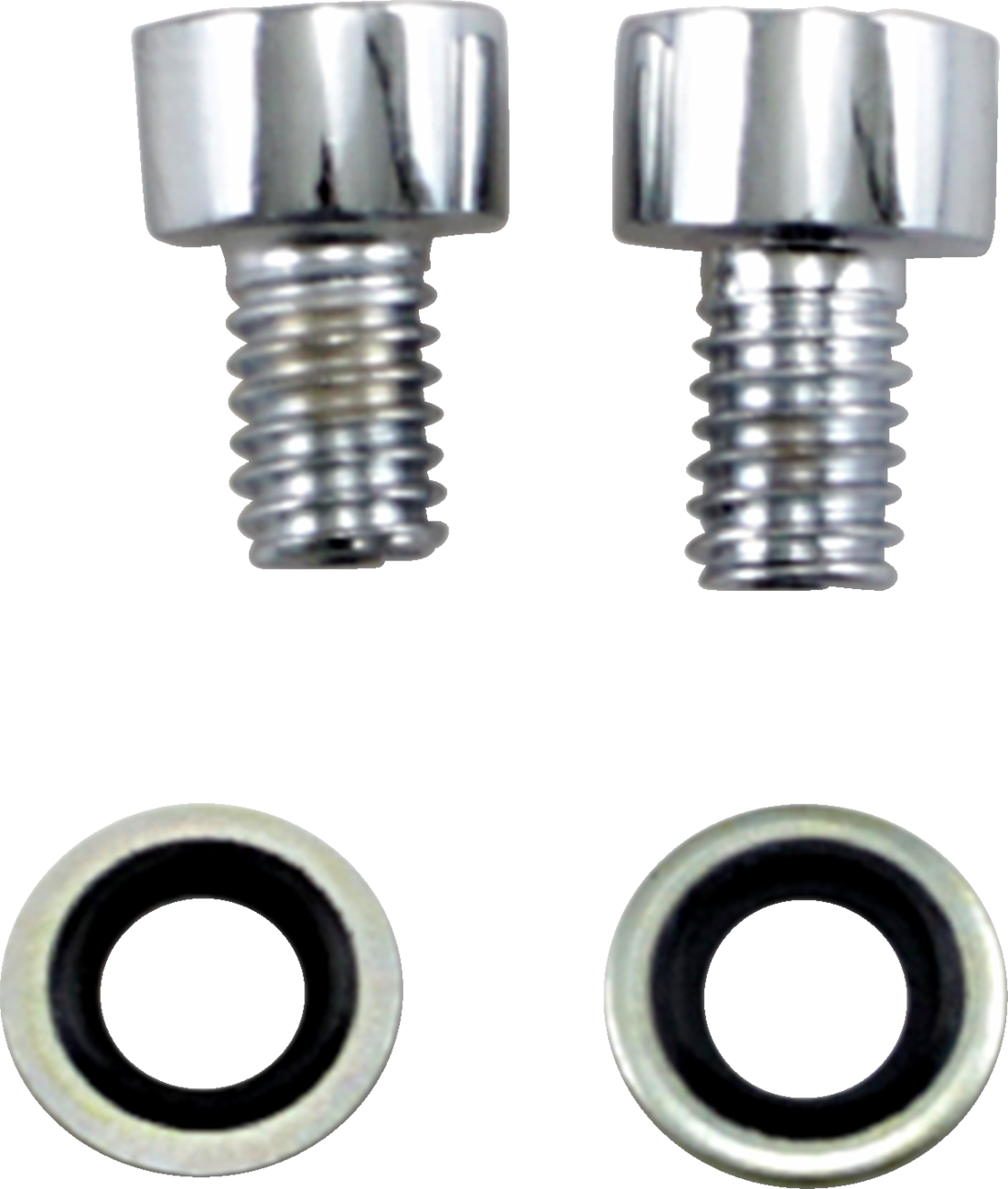 JAMES GASKET Fork Drain Screw Kit