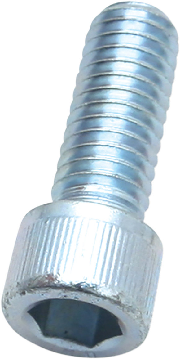 S&amp;S CYCLE Socket Head Cap Screw