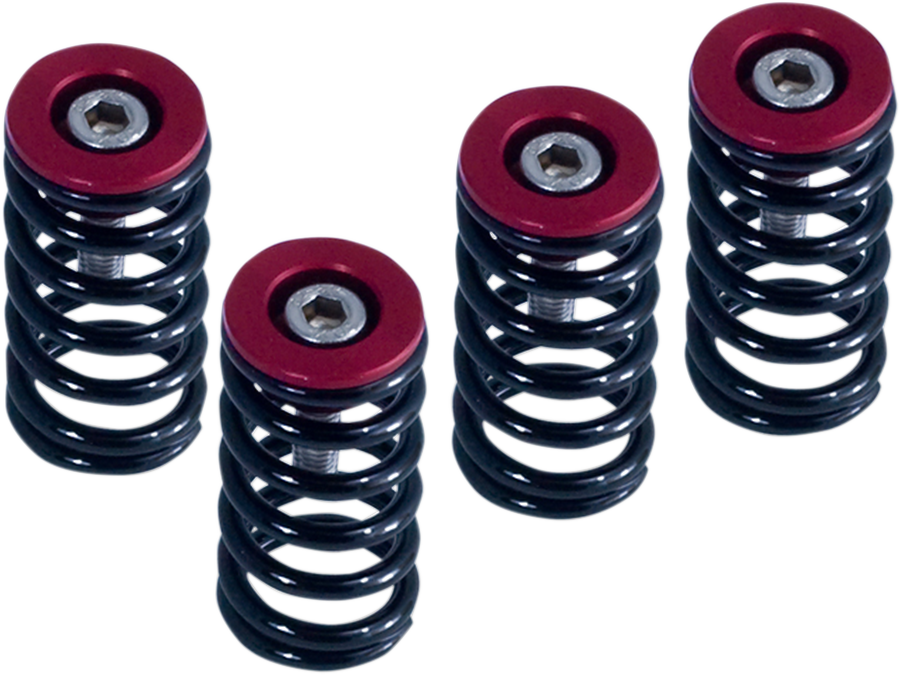Clutch Spring Kit
