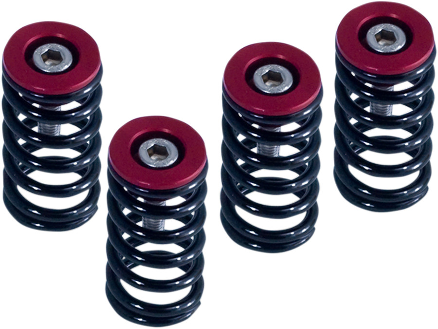 BARNETT Clutch Spring Kit