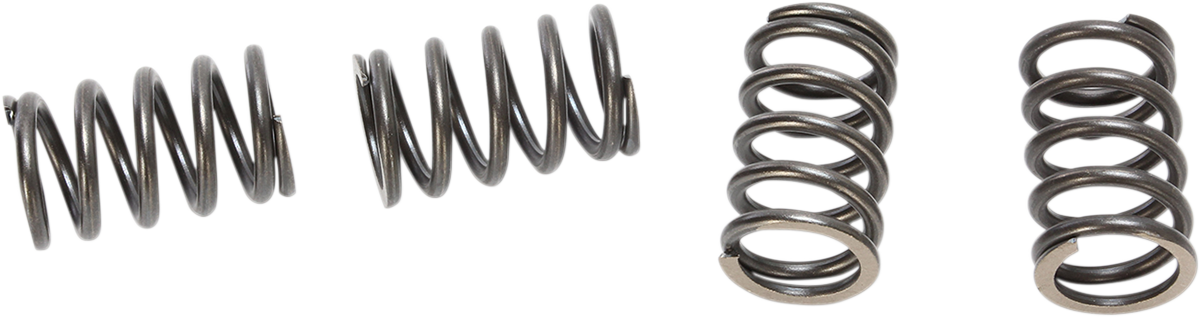 BBR Motorsports Heavy Duty Clutch Springs Kawasaki KLX110 / R / Suzuki DR-Z110 2003-2025
