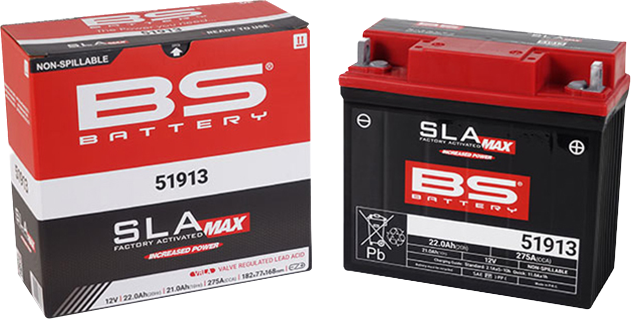 BS BATTERY SLA MAX Factory- Activated AGM Maintenance-Free Battery