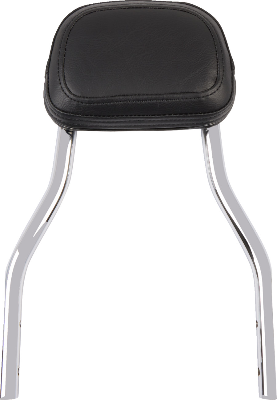 COBRA Detachable Backrest Kit