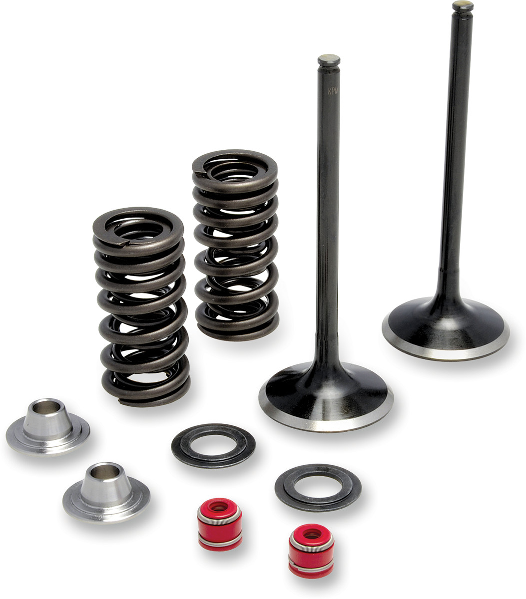 Moose Racing Exhaust Valve and Spring Kit